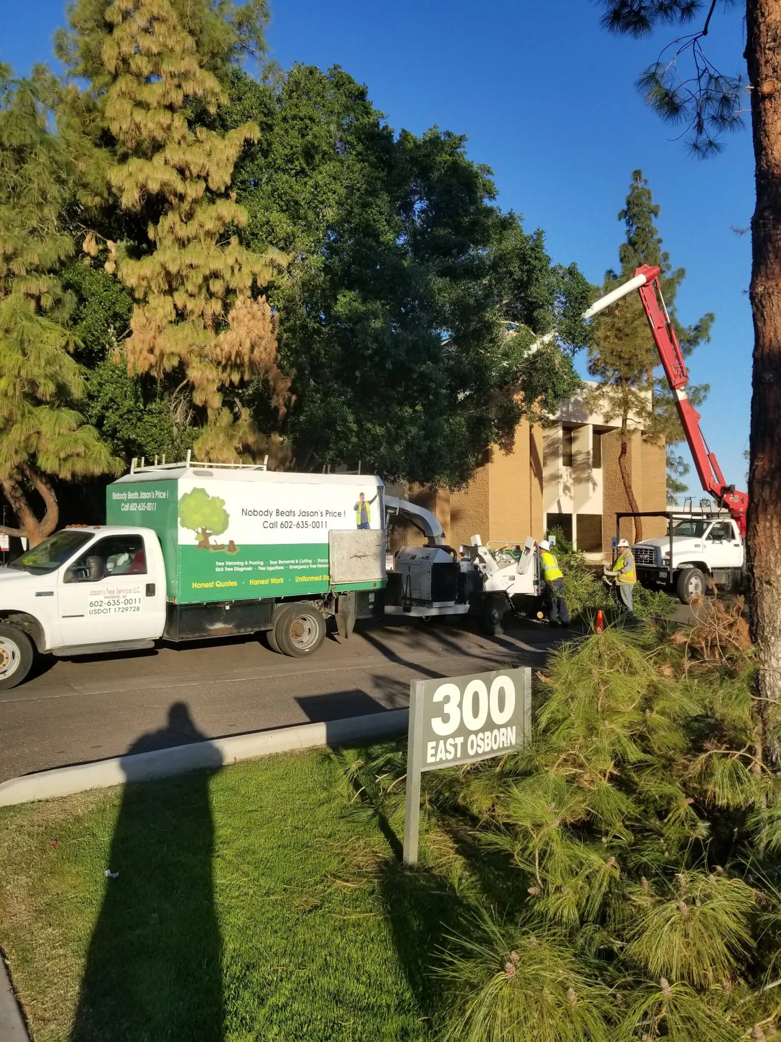 Jason's Tree Service gallery 9