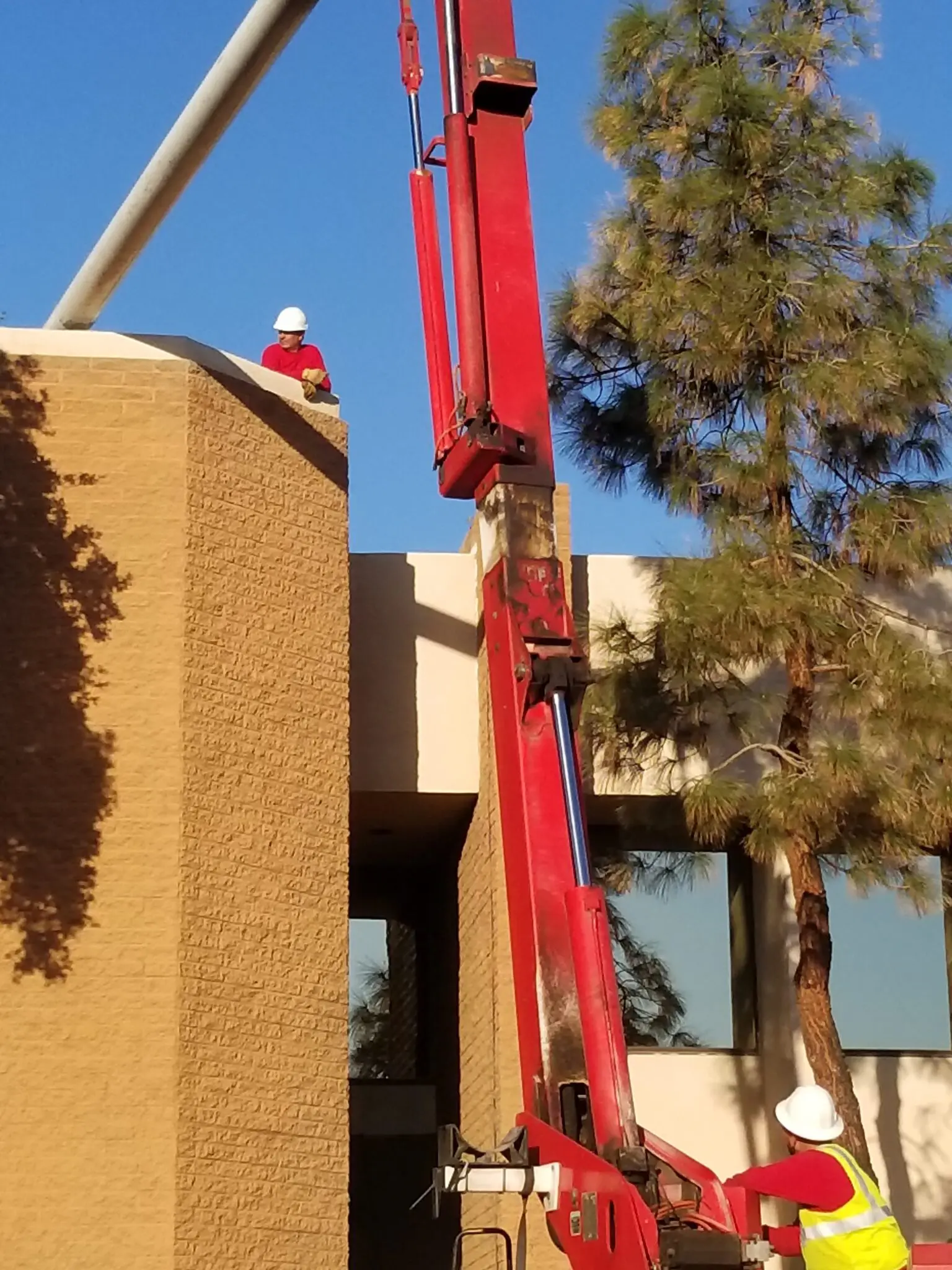 Jason's Tree Service gallery 8
