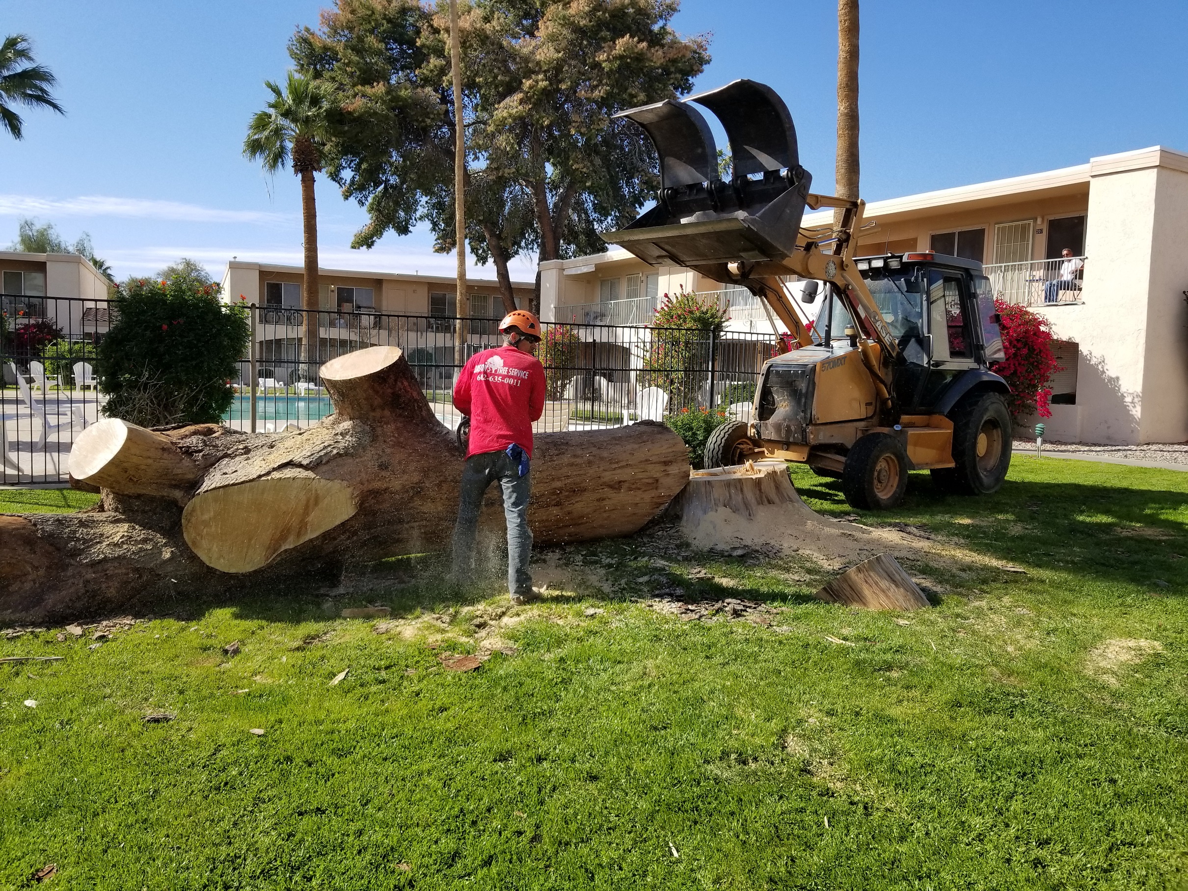 Why It’s Important To Utilize Professional Tree Removal Services