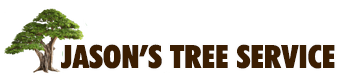 After Working For A Number Of Years In The Tree Service Business, Arlyn Hertenstein Decided To St ...
