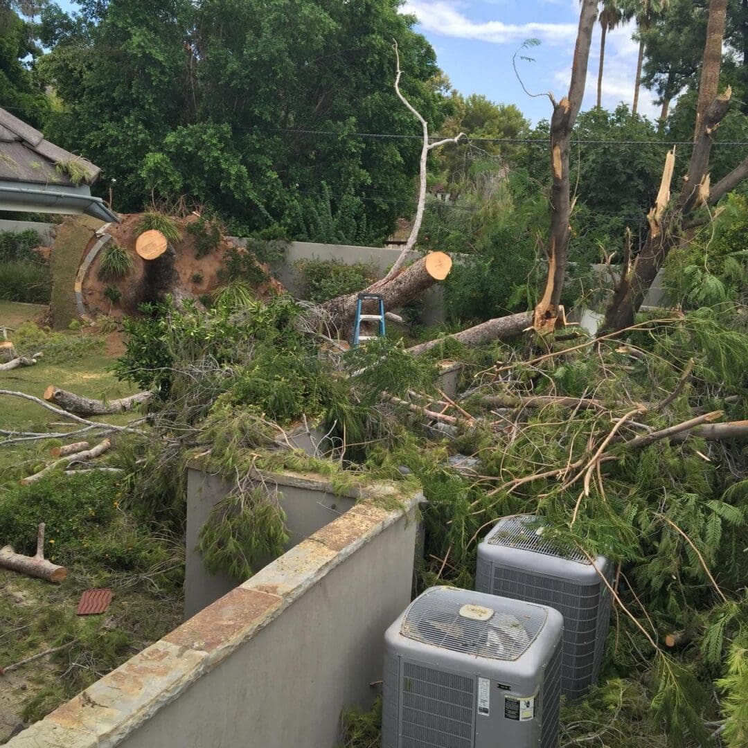 Storm Damage Tree Cleanup - Jason’s Tree Services